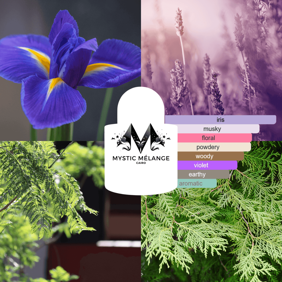 BLEU IRIS - Mystic Melange