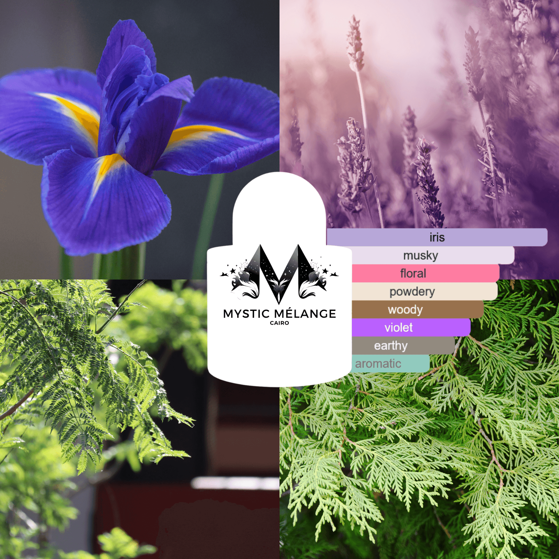 BLEU IRIS - Mystic Melange