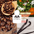 COSY HEARTH - Mystic Melange