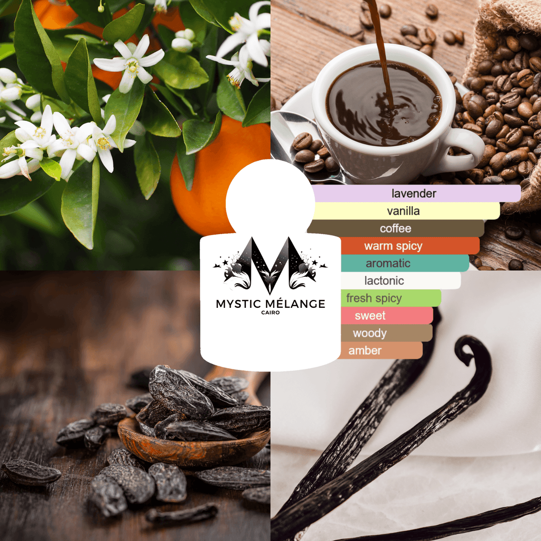 BARISTA BLISS - Mystic Melange