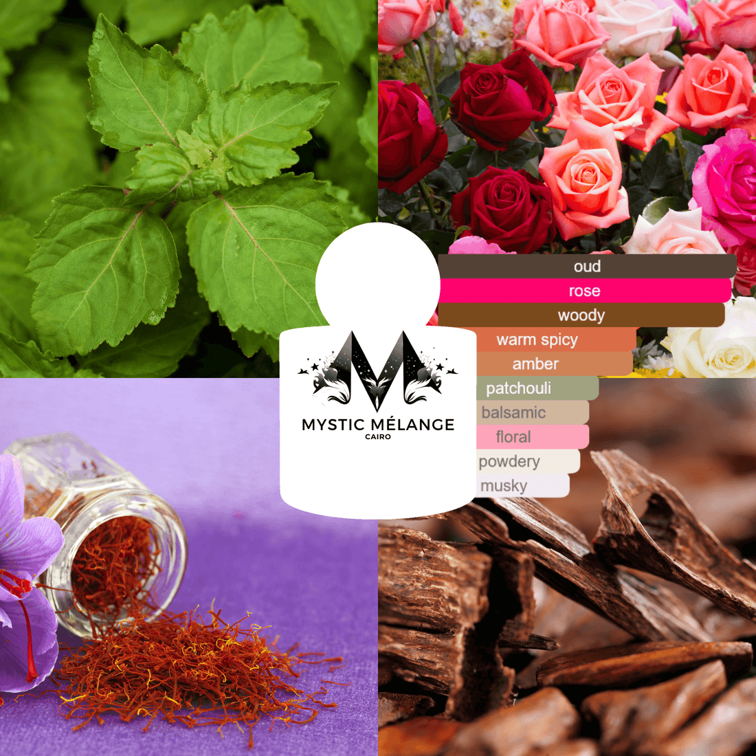 SAFFRON NOIR - Mystic Melange