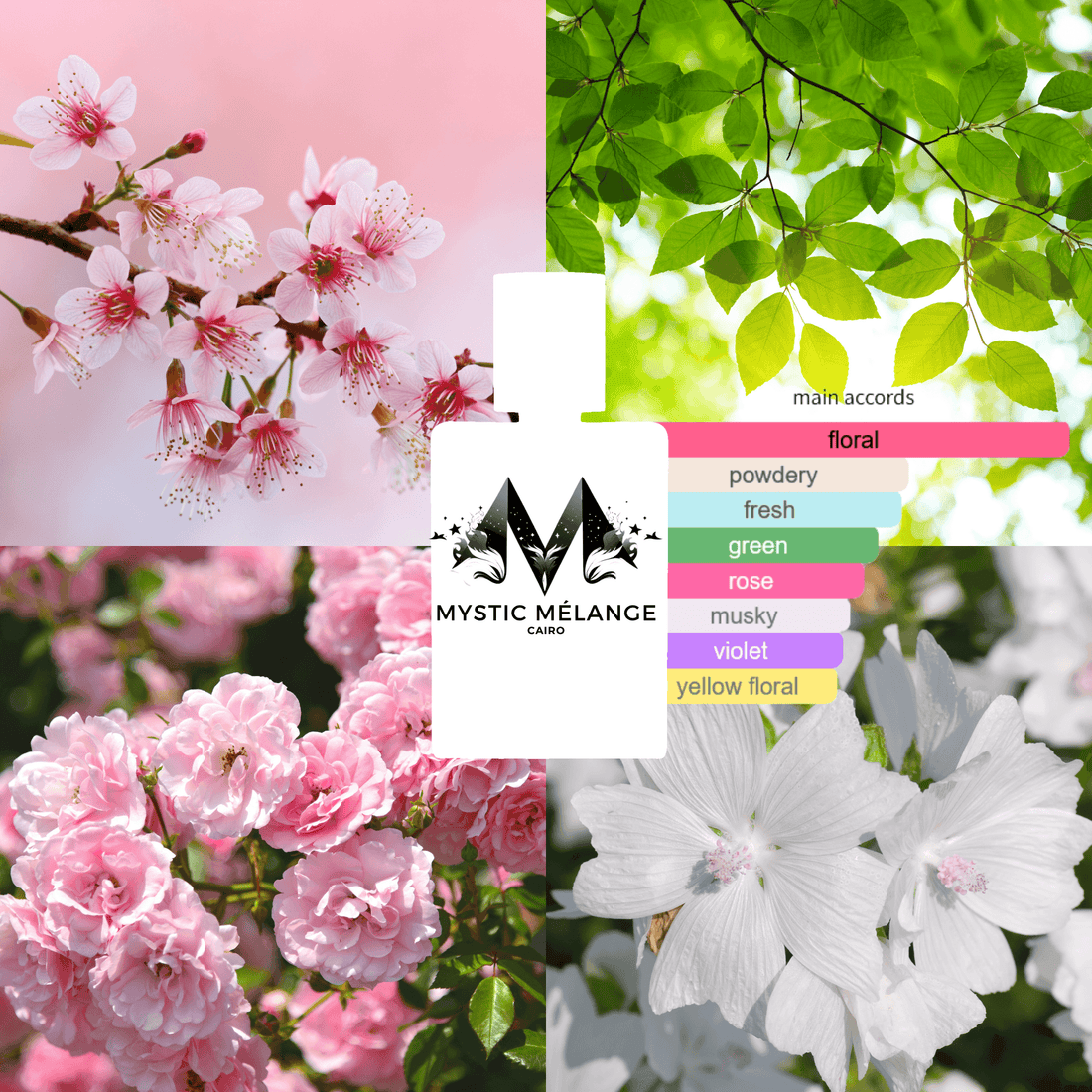 HANAMI - Mystic Melange